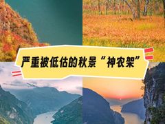 -神农架景区