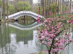 -大宁公园