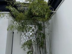 -中国昆曲博物馆