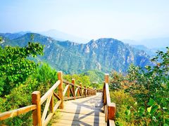 -大岭沟猕猴桃谷风景区