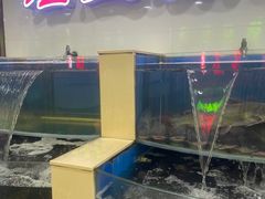 -屯老二农家铁锅炖·行业领军者(梅江店)