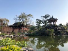 -顺峰山公园