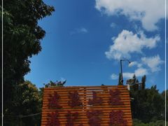 -满記土窑烧鷄波浪山莊