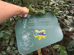 -北极阁公园
