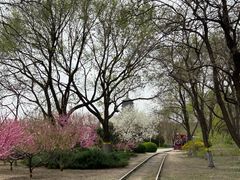 -永定河休闲森林公园