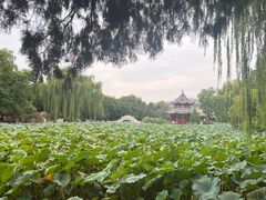 -莲池书院博物馆