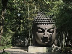 -杭州植物园