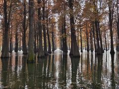-东方绿舟景区