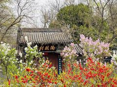 -晋祠公园