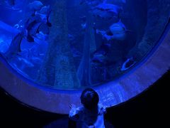-成都浩海立方海洋公园