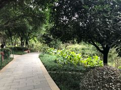 -龙头寺公园