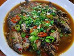 -全乐鱼馆·淳牌有机鱼直营店