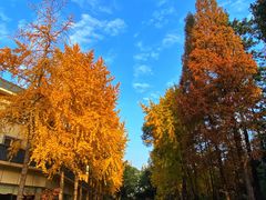 -望江宾馆-普吉岛餐厅