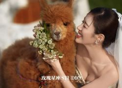 -玫瑰星座婚纱摄影轻奢定制(双井店)