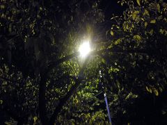 -长洲岛