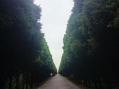 -秦始皇帝陵博物院-丽山园
