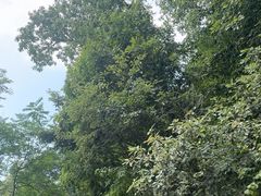 -终南山南五台景区