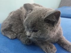 -中农大我爱我爱24h动物医院·中医针灸·猫专科·骨科医疗中心(双井店)