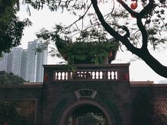-荔湾湖公园