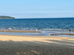 -三亚海棠湾万丽度假酒店