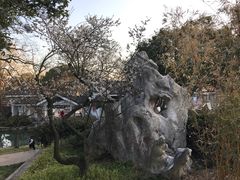 -无锡梅园公园