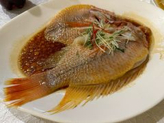 -东方之珠海鲜酒楼(南开店)