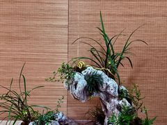 -上海植物园-4号门售票处