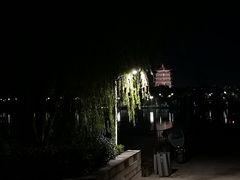 -灞河西岸滨河公园