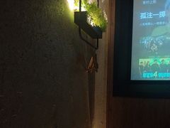 -新紫霞养生·影院足道·SPA(金山区店)