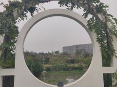 景点-天府芙蓉园