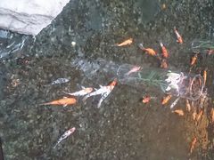 android_upload_pic-成都世纪城天堂洲际大饭店