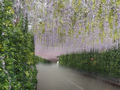 -东莞观音山旅游风景区