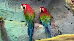 -Zoolung Zoolung动物主题公园(海信广场店)