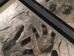 -湖南省地质博物馆