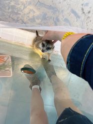 -Moni星球萌宠·小马宝莉·灵蛇·高端高阶全萌宠互动体验俱乐部(红豆国际广场店)