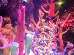 -沈阳海洋探索中心