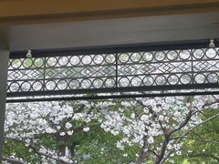 -玛格萝妮比萨屋(四平店)