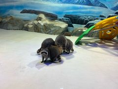 -华夏文旅海洋公园