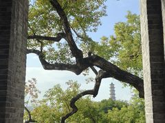 -江心屿景区