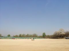 -汉长安城未央宫国家考古遗址公园