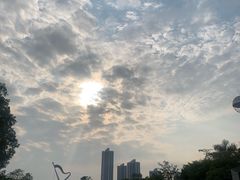-厦门园林博览苑