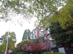 -麦德龙(浦东店)