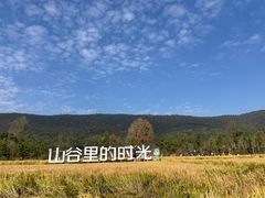 -老山国家森林公园