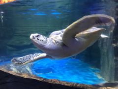 -多彩贵州城极地海洋世界