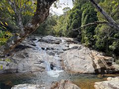 -海南霸王岭国家森林公园