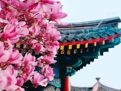 -大钟寺古钟博物馆