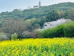 -上方山森林动物世界