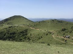 -大姆山草场