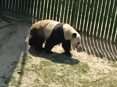 -沈阳森林动物园