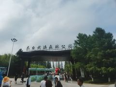 -黄海国家森林公园